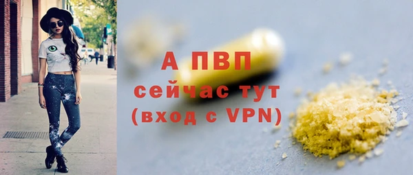 крисы Алексин