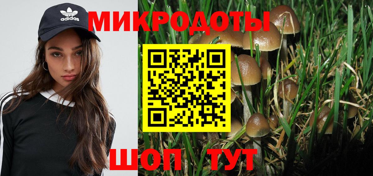 Галлюциногенные грибы Magic Shrooms Бугуруслан